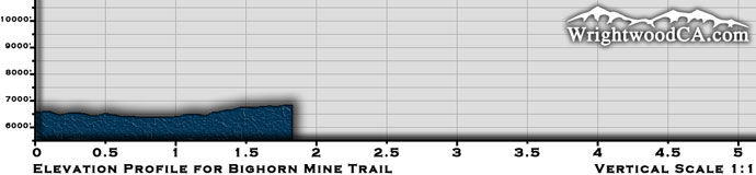 Bighorn Mine Trail Elevation Profile