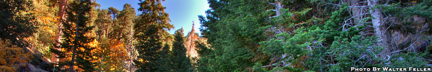Wrightwood CA Banner - Photo By Walter Feller