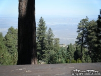 Looking toward the High Desert from Table Mountain Campground - Wrightwood CA Camping