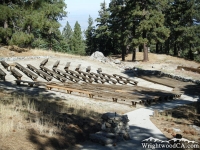 Amphitheater at Table Mountain Campground - Wrightwood CA Camping