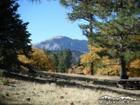 View of Mt Baden Powell from Table Mountain Campground - Wrightwood CA Camping