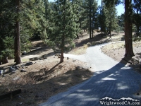 Road in Table Mountain Campground - Wrightwood CA Camping