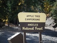 Apple Tree Campground - Wrightwood CA Camping