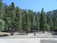 Apple Tree Campground - Wrightwood CA Camping