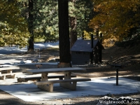 Campsites in Apple Tree Campground - Wrightwood CA Camping