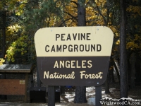 Peavine Campground near Jackson Lake - Wrightwood CA Camping