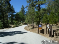 Mountain Oak Campground - Wrightwood CA