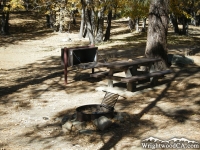 Campsite in Mountain Oak Campground near Jackson Lake - Wrightwood CA Camping