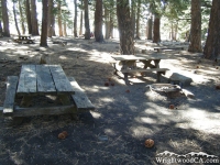 Campsite in Blue Ridge Campground - Wrightwood CA Camping