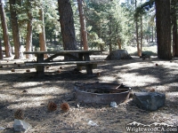 Campsite in Blue Ridge Campground - Wrightwood CA Camping