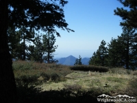 Blue Ridge Campground - Wrightwood CA Camping