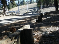 Blue Ridge Campground - Wrightwood CA Camping
