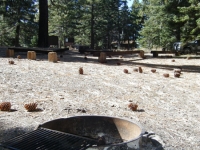Campsite in Blue Ridge Campground - Wrightwood CA Camping