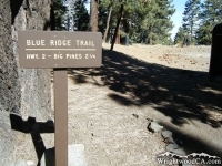 Blue Ridge Trail head in Blue Ridge Campground - Wrightwood CA Camping