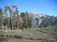 Guffy Campground in front of Pine Mountain - Wrightwood CA Camping