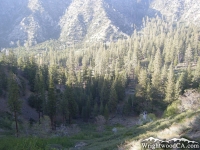 Lupine Campground in Prairie Fork, as viewed from Fish Fork/Pine Mountain Ridge Trail  - Wrightwood CA Camping