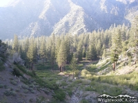 Lupine Campground in Prairie Fork, as viewed from Fish Fork/Pine Mountain Ridge Trail  - Wrightwood CA Camping