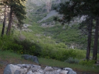 Campfire Pit in Lupine Campground - Wrightwood CA Camping