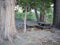 Campsite in Lupine Campground - Wrightwood CA Camping