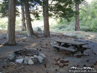 Campsite in Lupine Campground - Wrightwood CA Camping