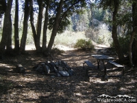 Campsite in Cabin Flat Campground - Wrightwood CA Camping