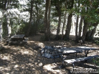 Campsite in Cabin Flat Campground - Wrightwood CA Camping