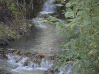 Prairie Fork Creek along the side of Cabin Flat Campground - Wrightwood CA Camping