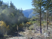 Cabin Flat Campground with Mt Baden Powell in background - Wrightwood CA Camping