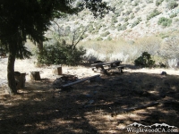 Campsite in Cabin Flat Campground - Wrightwood CA Camping