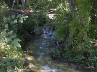 Prairie Fork Creek near Cabin Flat Campground - Wrightwood CA Camping