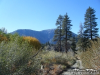 Road to Cabin Flat Campground in Prairie Fork with Mt Baden Powell in background - Wrightwood CA Camping