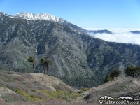 Looking down at Prairie Fork from Blue Ridge with Pine Mountain Ridge and Mt Baldy in background - Wrightwood CA