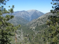 Prairie Fork with Mt Baden Powell in background as viewed from North Backbone Trail - Wrightwood CA