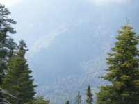 Prairie Fork framed with trees - Wrightwood CA