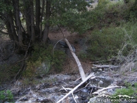 Creek at a trail crossing in Fish Fork area - Wrightwood CA