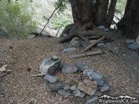 Campsite near the Fish Fork/Dawson Peak Trail intersect.  - Wrightwood CA