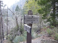 Dawson Peak Trail intersection with Fish Fork Trail - Wrightwood CA