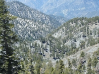Iron Mountain (left), Fish Fork (center), and Pine Mountain Ridge (right) - Wrightwood CA