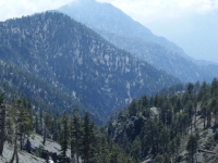 Fish Fork as viewed from Dawson Peak Trail with Iron Mountain in background - Wrightwood CA