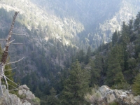 Looking down into Fish Fork - Wrightwood CA