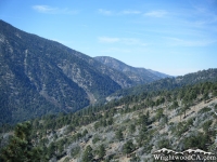 Vincent Gulch as viewed from Inspiration Point - Wrightwood CA