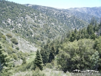 Vincent Gulch as viewed from Bighorn Mine Trail - Wrightwood CA