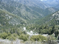 Looking down Vincent Gulch from Bighorn Mine Trail - Wrightwood CA