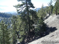 Top of Slover Canyon at Wright Mountain - Wrightwood CA