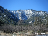 Looking up Slover Canyon from the top of Lone Pine Canyon - Wrightwood CA