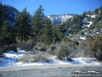 Lone Pine Canyon Road and Slover Canyon - Wrightwood CA