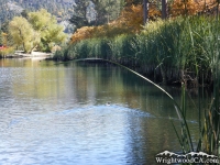 Jackson Lake - Wrightwood CA