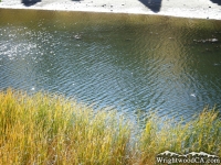 Water on Jackson Lake - Wrightwood CA