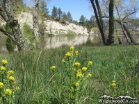 Spring at Jackson Lake - Wrightwood CA