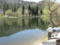 Fisherman at Jackson Lake - Wrightwood CA